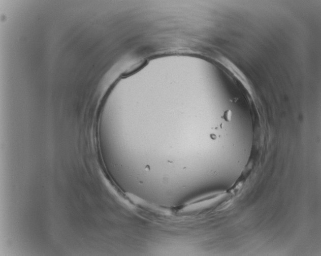 X0000066101293200603312016