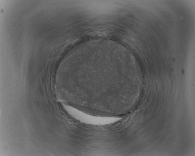 X0000066101297200603312015