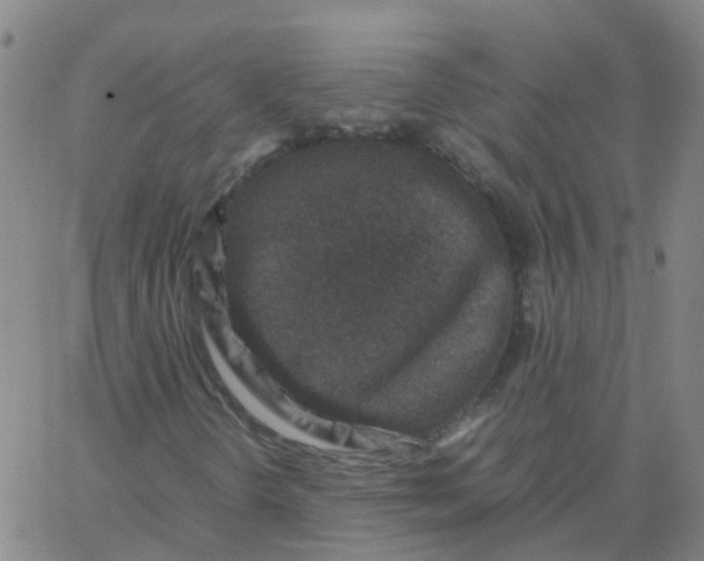 X0000066101298200603312015