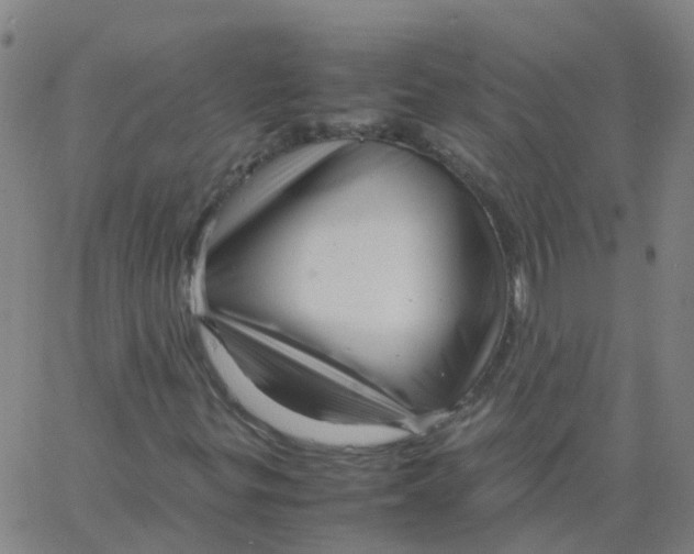 X0000066101299200603312015