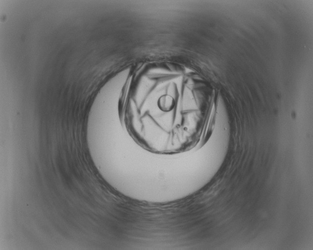 X0000066101300200603312015