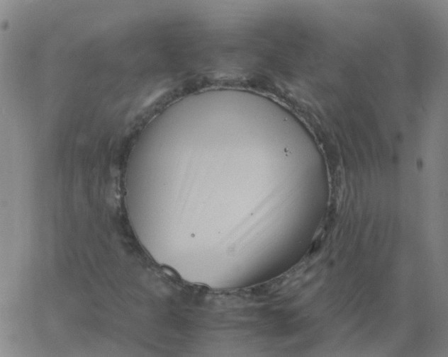 X0000066101301200603312015