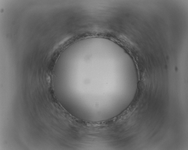 X0000066101302200603312015