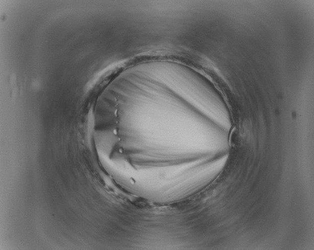 X0000066101304200603312015