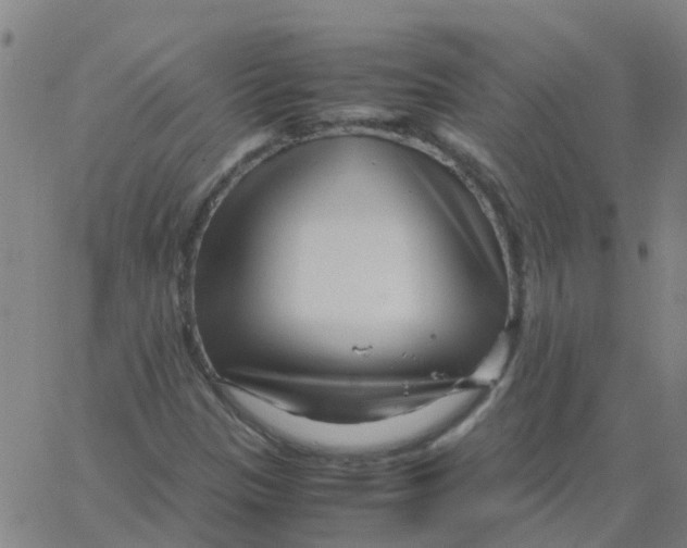 X0000066101305200603312015