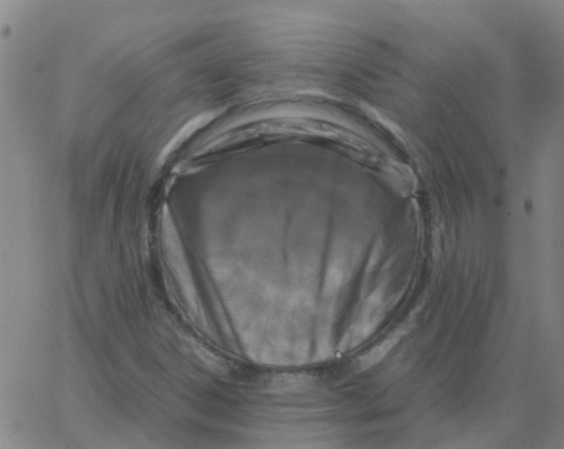 X0000066101306200603312015