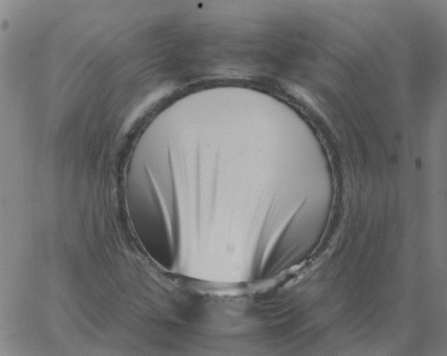 X0000066101307200603312015