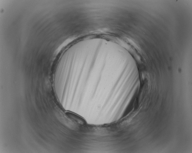 X0000066101308200603312015