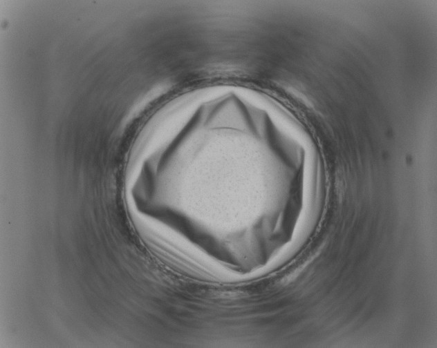 X0000066101309200603312015