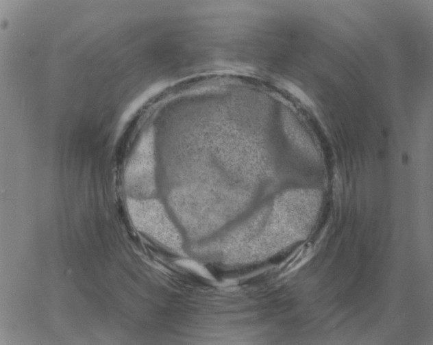 X0000066101310200603312015