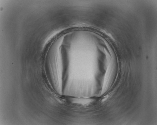 X0000066101311200603312015