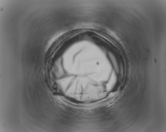 X0000066101312200603312015