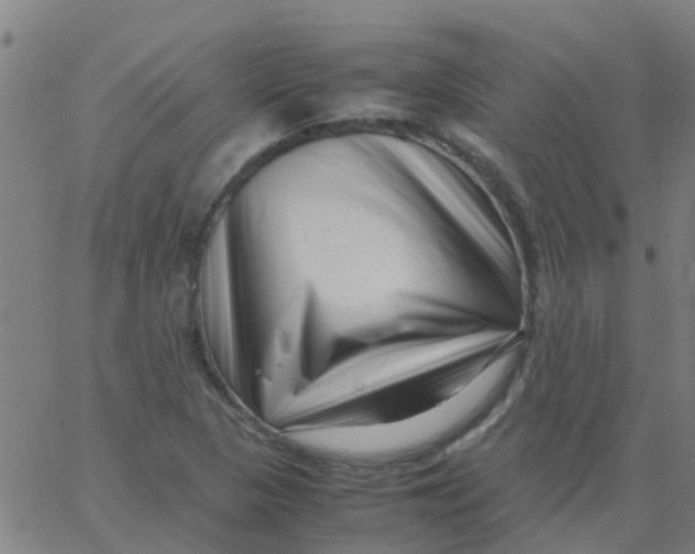 X0000066101313200603312015