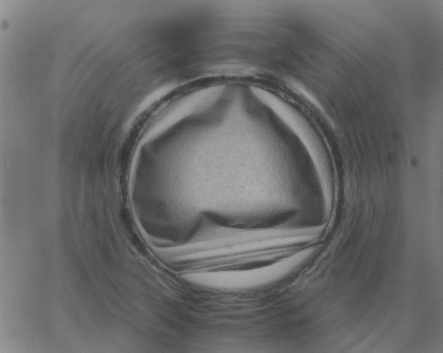 X0000066101315200603312015