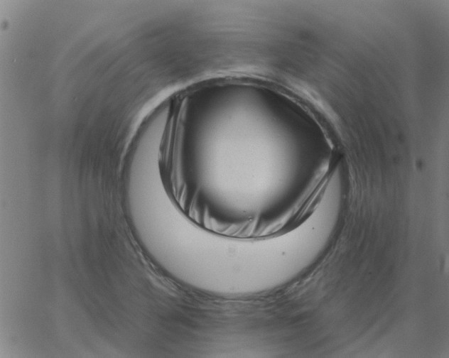 X0000066101316200603312015