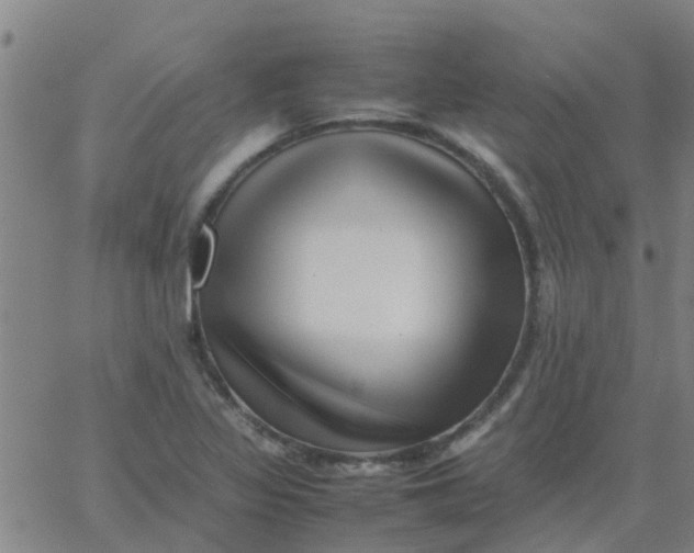 X0000066101317200603312015