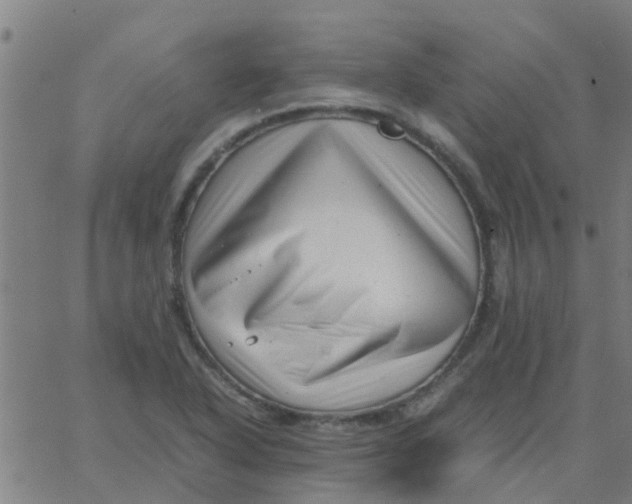 X0000066101318200603312015