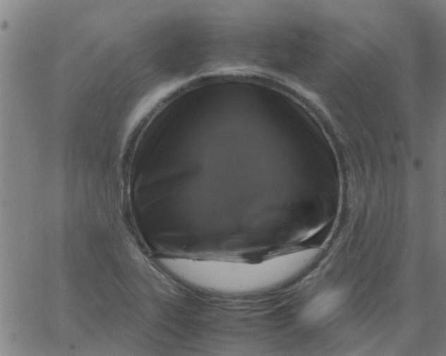 X0000066101319200603312015