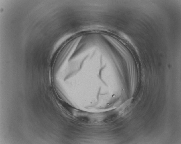 X0000066101320200603312015