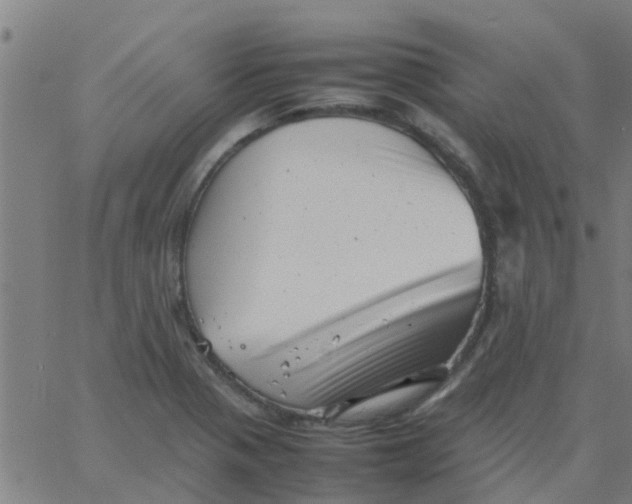 X0000066101321200603312015