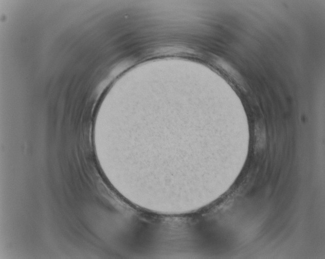 X0000066101322200603312015