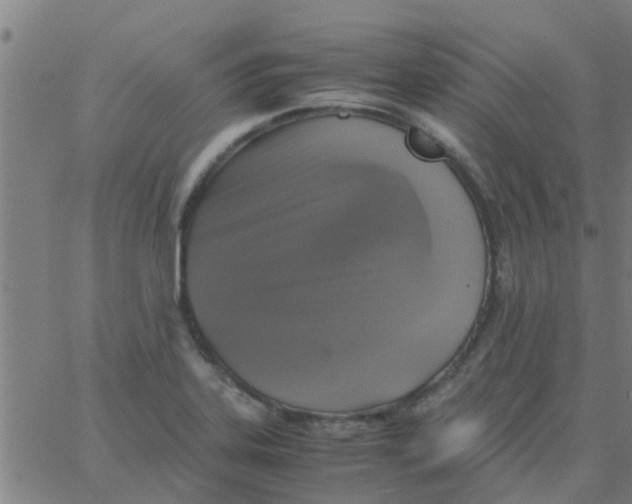 X0000066101323200603312015