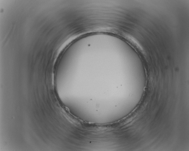 X0000066101324200603312015