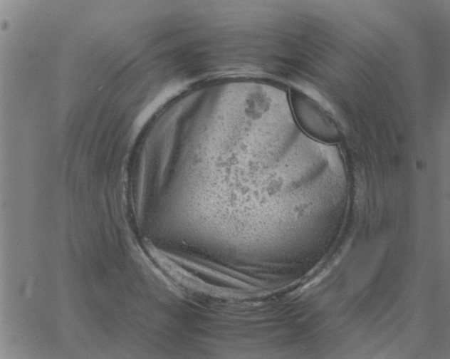 X0000066101325200603312015