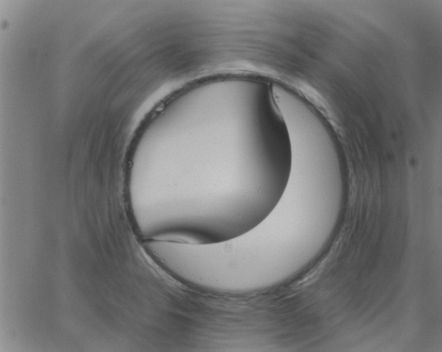 X0000066101326200603312015