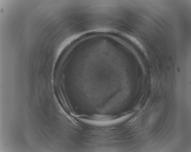 X0000066101327200603312015