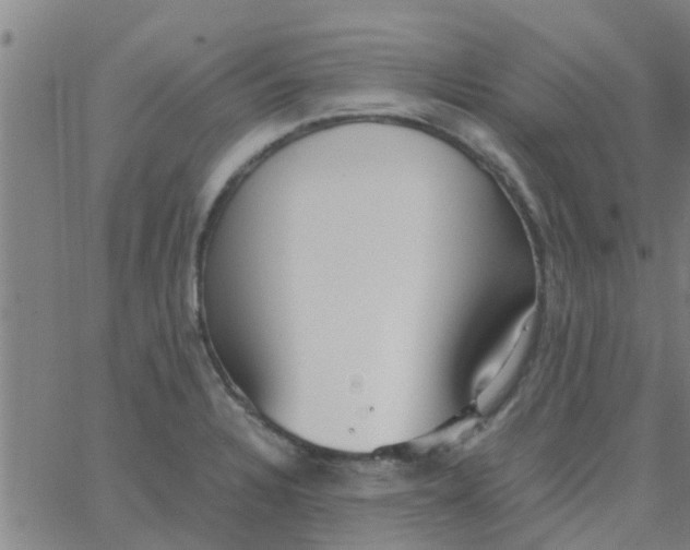 X0000066101328200603312015