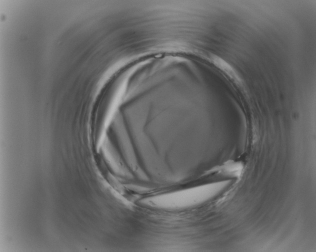 X0000066101334200603312015