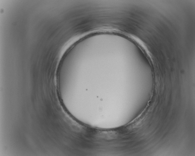 X0000066101335200603312015