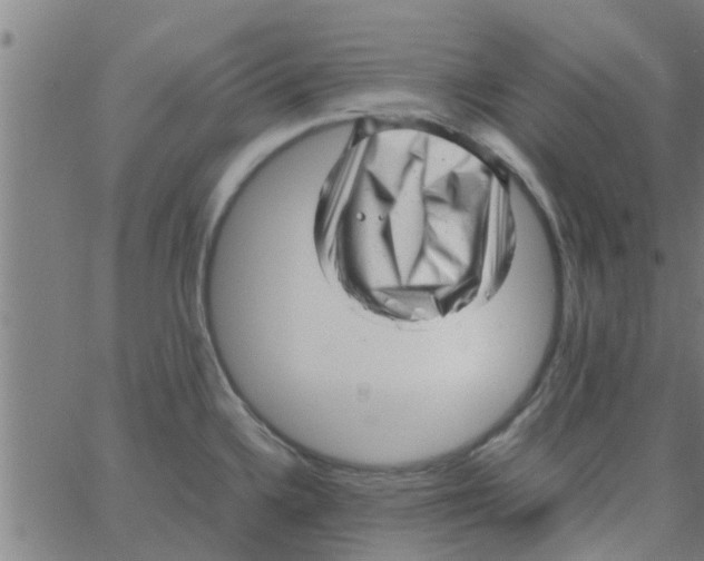 X0000066101336200603312015