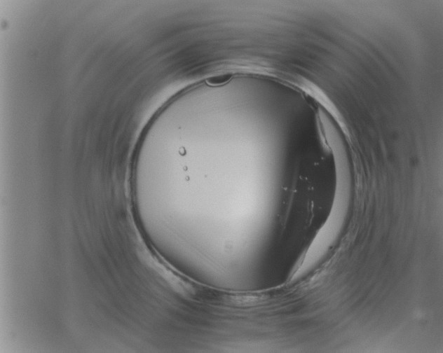 X0000066101339200603312015