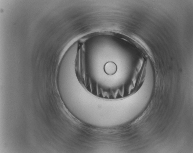 X0000066101340200603312015