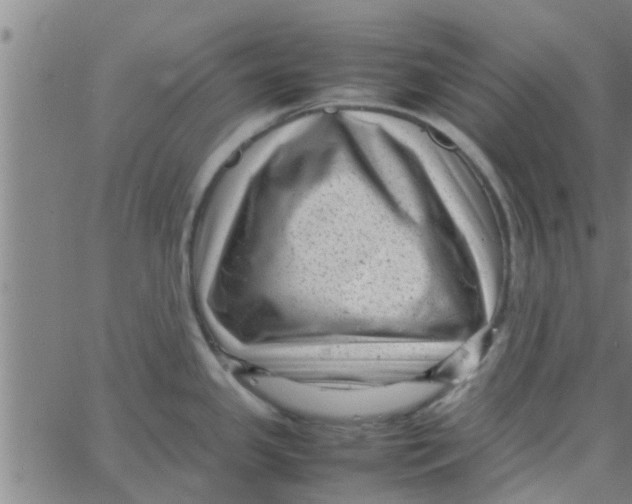 X0000066101341200603312015