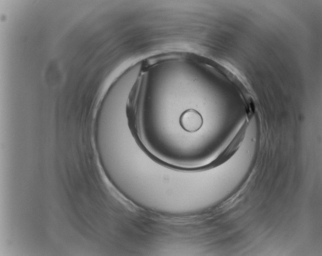 X0000066101342200603312015