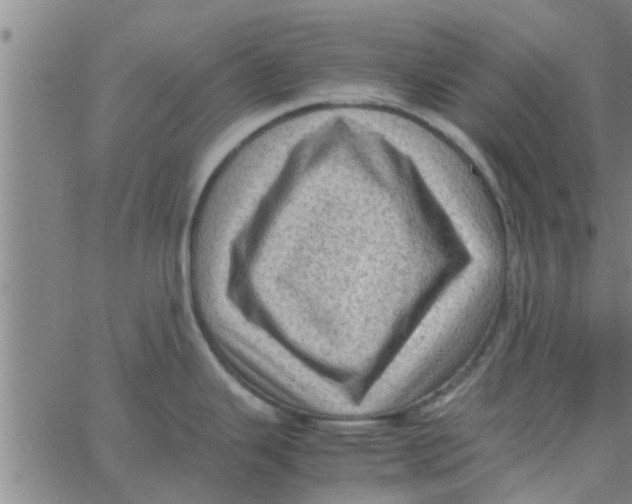 X0000066101343200603312015