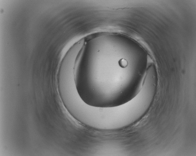 X0000066101344200603312015