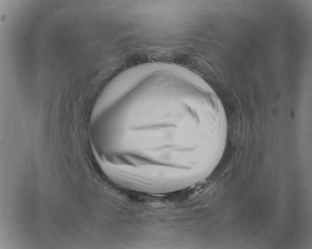 X0000066101345200603312015