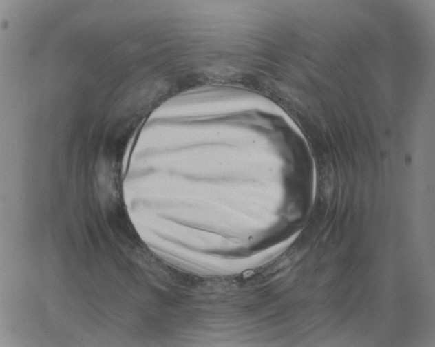 X0000066101346200603312015