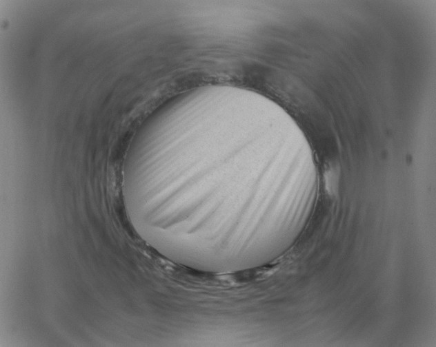 X0000066101347200603312015