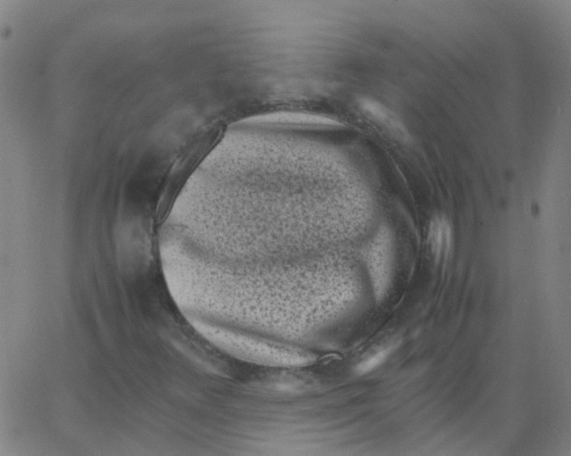 X0000066101348200603312015