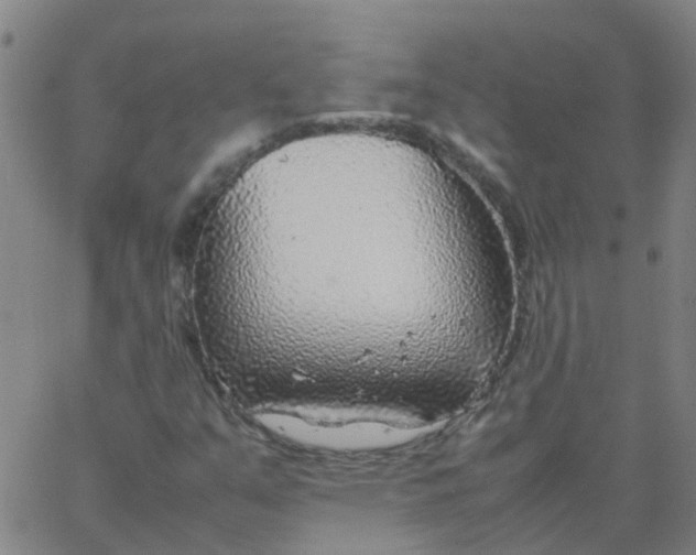 X0000066101351200603312015