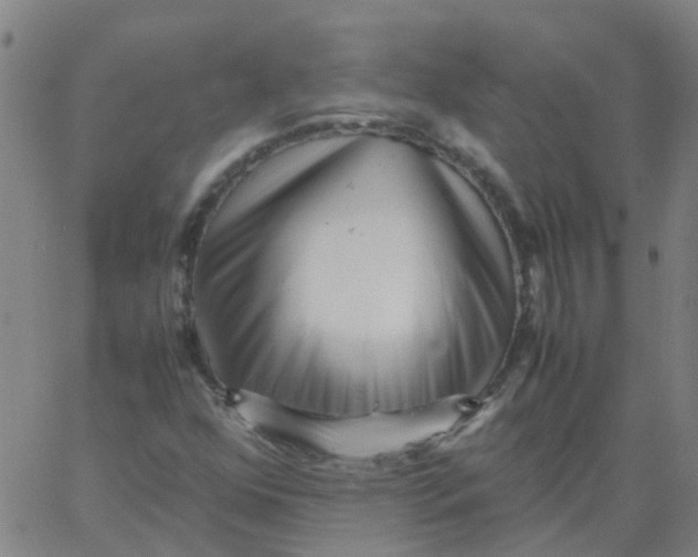 X0000066101352200603312015