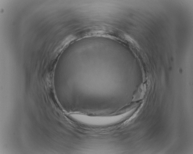 X0000066101353200603312015