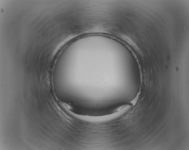 X0000066101356200603312015