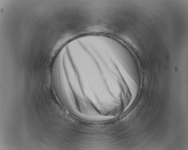 X0000066101358200603312014