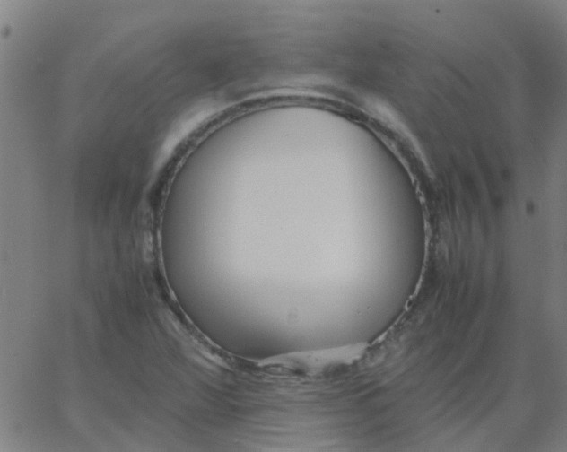 X0000066101360200603312014